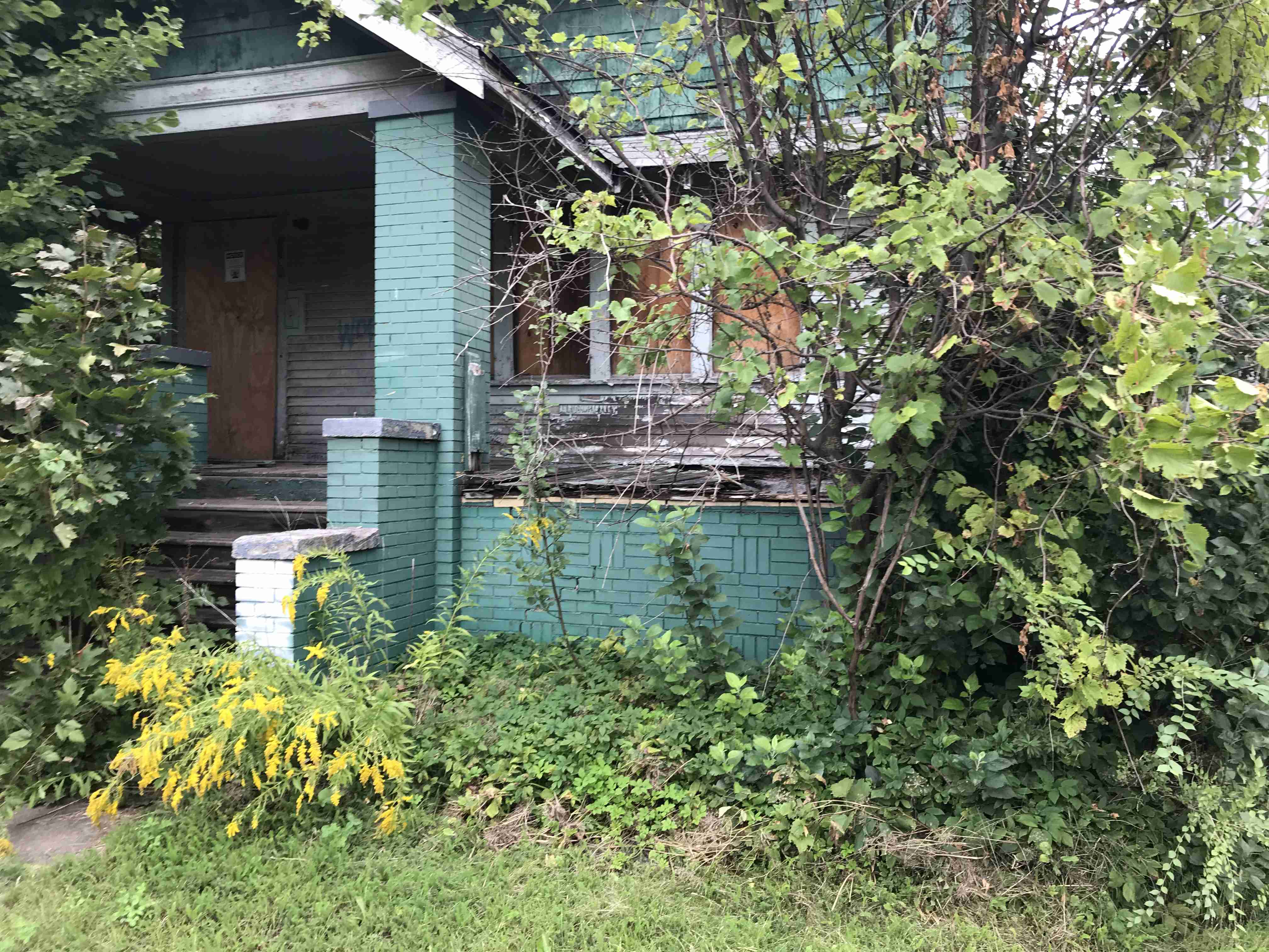 Photo Sep 10, 1 04 02 PM.jpg